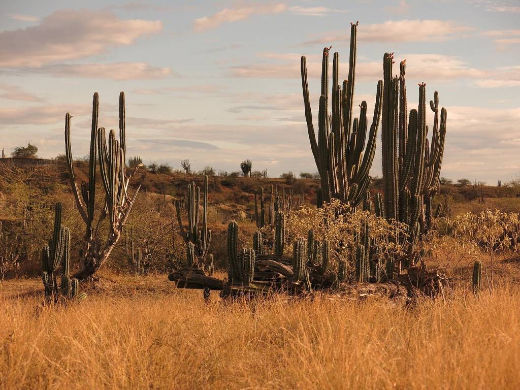 deserto-tatacoa