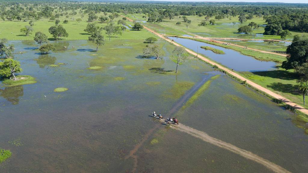 pantanal-reserva-unesco