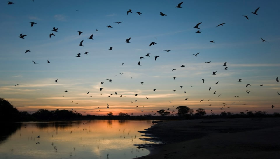 sesc-pantanal