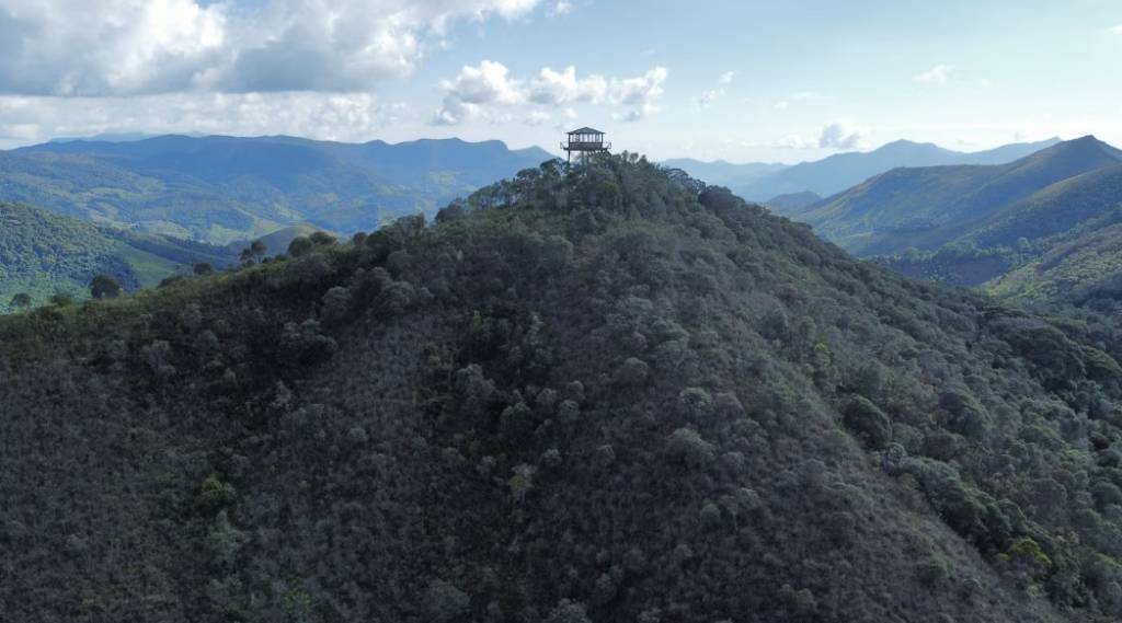 torre-florestal-de-longe