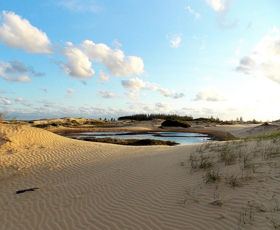 dunas-araca-ilha-comprida