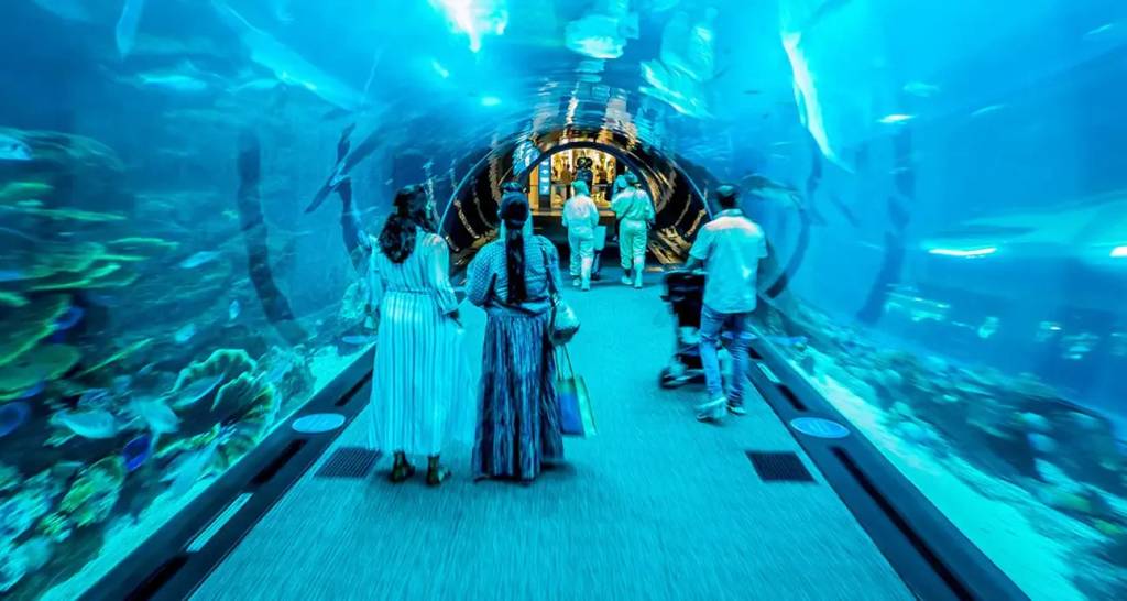 Dubai Aquarium, Dubai, Emirados Árabes Dubai Aquarium, Dubai, Emirados Árabes