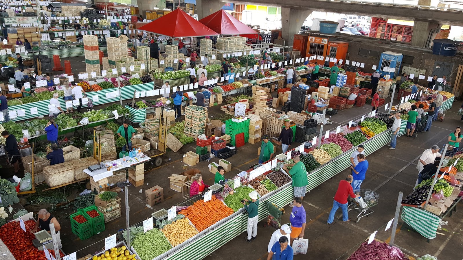 feira-ceagesp