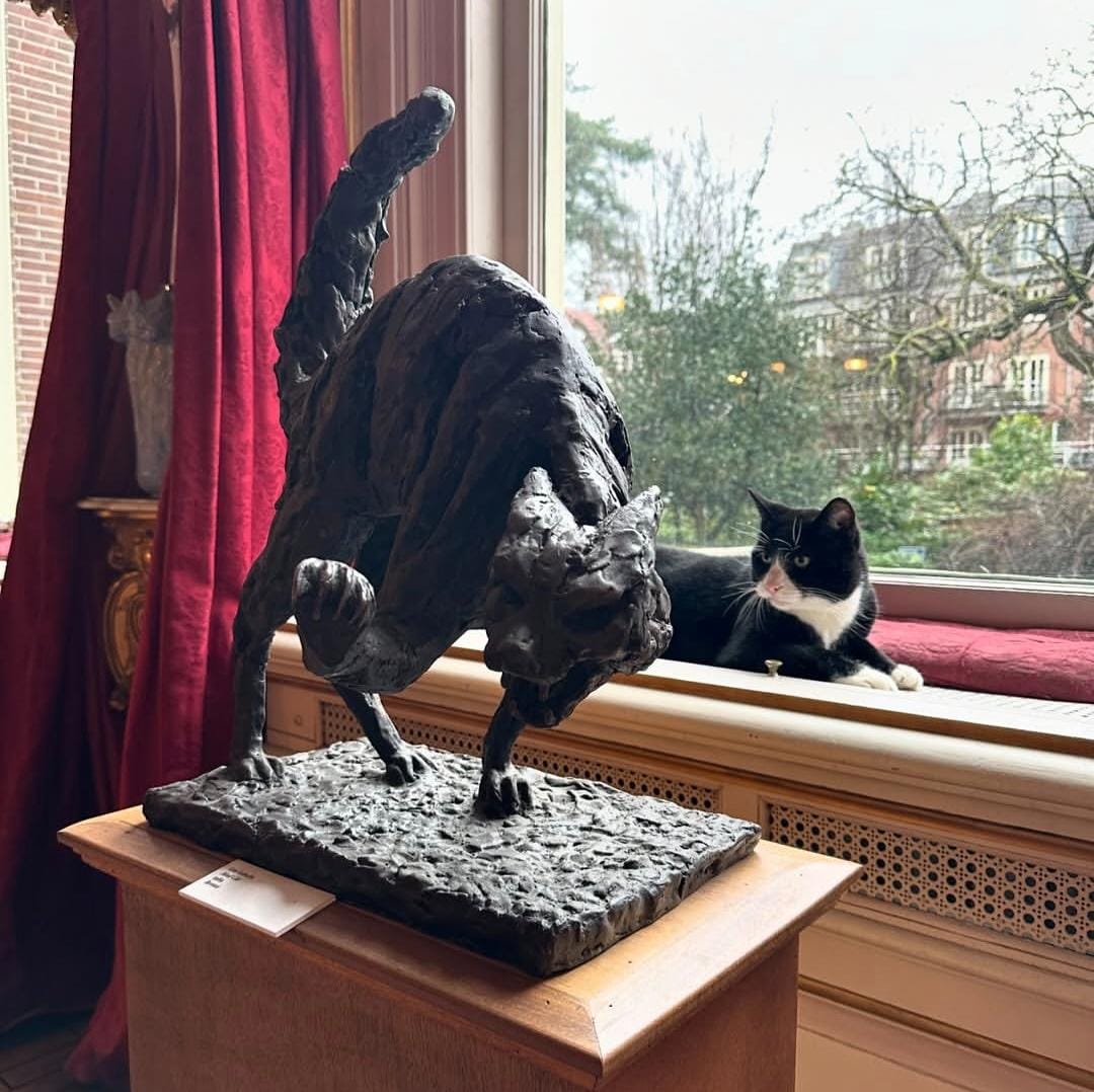 Escultura de gato preto em bronze, em pose de caça, sobre um pedestal de madeira. Ao fundo, um gato real preto e branco observa a paisagem pela janela, deitado em uma almofada vermelha. Cortinas de veludo vermelho e edifícios antigos completam a cena.